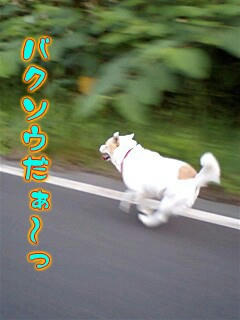 Ereo7-6-8