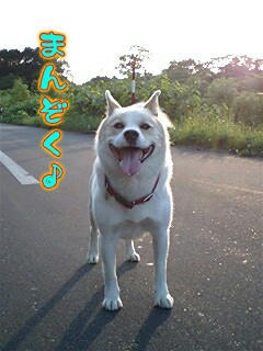 Ereo7-6-9