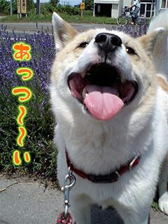 Ereo7-8-3
