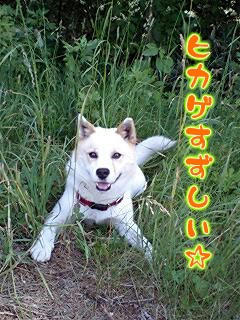 Ereo7-8-7