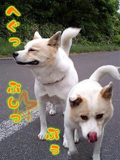 Ereo7-11-2.jpg