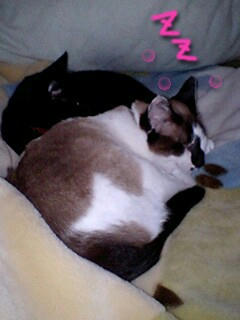Emimi7-13-1.jpg