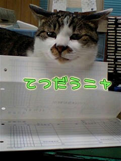 Fnyan9-22-3.jpg