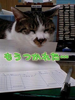 Fnyan9-22-4.jpg