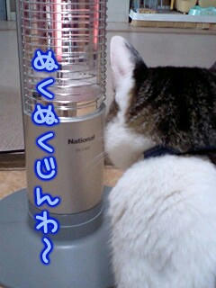 Fnyan9-29-1.jpg