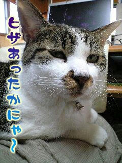 Gnyan10-26-1.jpg