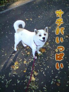 Greo10-28-1.jpg