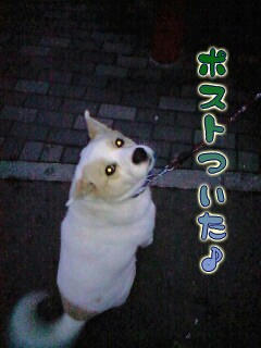 a7f6224b.jpg