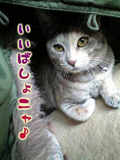 fb1f0331.jpg