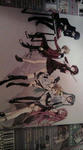 20100921210633.jpg