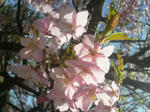 2010030513340000.jpg