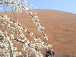 2010030513290000.jpg