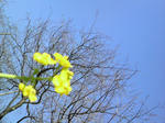 2010030513240000.jpg