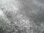 2010032815350000.jpg