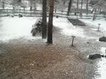2010032815360000.jpg
