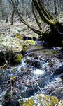 100414_1209~0001.jpg