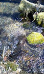 100414_1210~0001.jpg