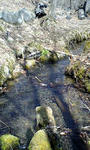 100414_1211~0001.jpg