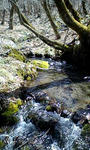 100414_1211~0002.jpg