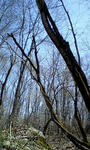 100414_1211~0003.jpg