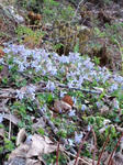 CA3F0006.jpg