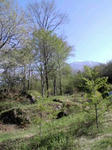 CA3F0018.jpg