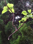 CA3F0020.jpg
