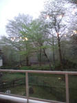 CA3F0022.jpg
