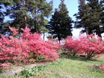 CA3F0002.jpg