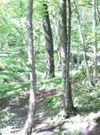CA3F0032.jpg