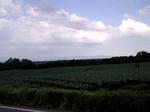 CA3F0047.jpg