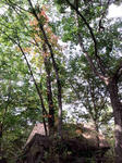 CA3F0097.jpg