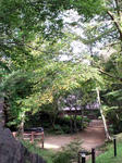 CA3F0096.jpg