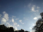 CA3F0110.jpg