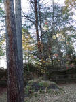 CA3F0112.jpg
