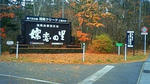 a9f29381.jpg