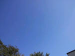 CA3F0127.jpg