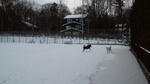 101225_1554~01.jpg