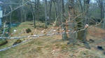 201105071439000.jpg