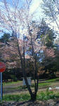 201105131308000.jpg