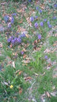 201105161603000.jpg