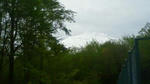 201105240954000.jpg