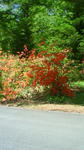 201106061113001.jpg