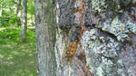 201106061332001.jpg