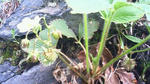 201106121342000.jpg