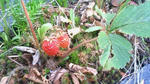 201106121342001.jpg
