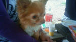 201106151517001.jpg