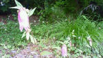 201107091248000.jpg