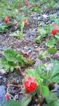 201107091248001.jpg