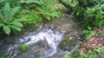 201108091731000.jpg
